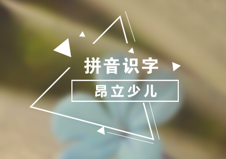 上海少兒拼音識字課程(cheng)