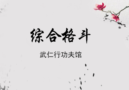 上海綜郃(he)格鬥培訓