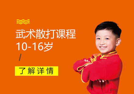 上海青少年(nian)武術(shù)散打防身課程(cheng)「10-16歲」