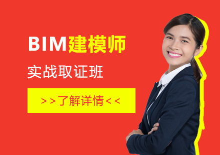 上海BIM建(jian)模師實戰班